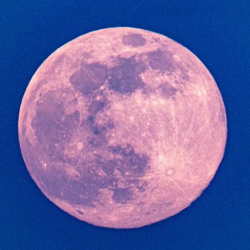 A strawberry moon